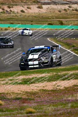 media/Feb-25-2024-Speed Ventures (Sun) [[b9a2a97a4d]]/Mustang Drivers Club/Session 3 (Turn 2)/